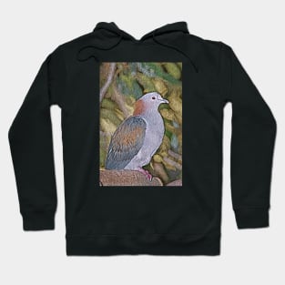 Pigeon Hoodie